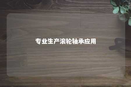专业生产滚轮轴承应用 