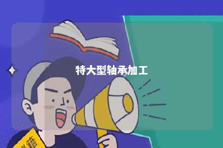 特大型轴承加工 