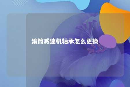 滚筒减速机轴承怎么更换 